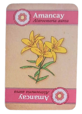 Carta de recurso Amancay
