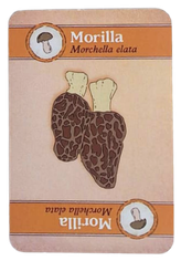 Carta de recurso Morilla